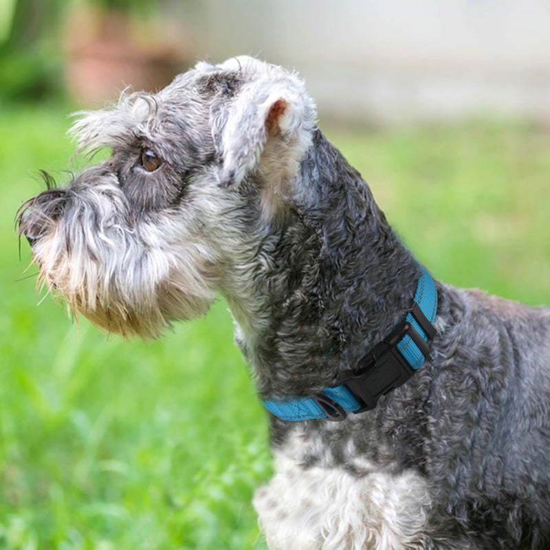 Joytale Reflective Dog Collar, Soft Neoprene Padded, Metal D-Ring, Nylon Pet Collar Adjustable for Small Dogs, Sky Blue, S - Image 2